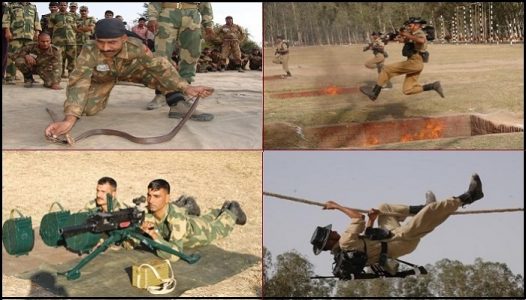 Training of Border Security force