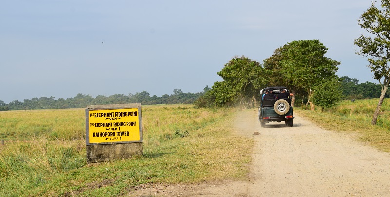 Jeep And Elephant Safari In The Central Range of Kaziranga National Park