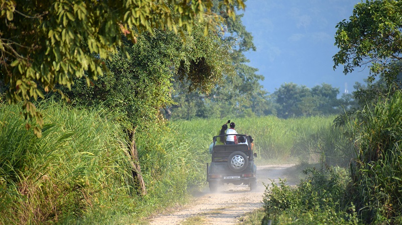 Jeep Safari In The Western Range of Kaziranga National Park