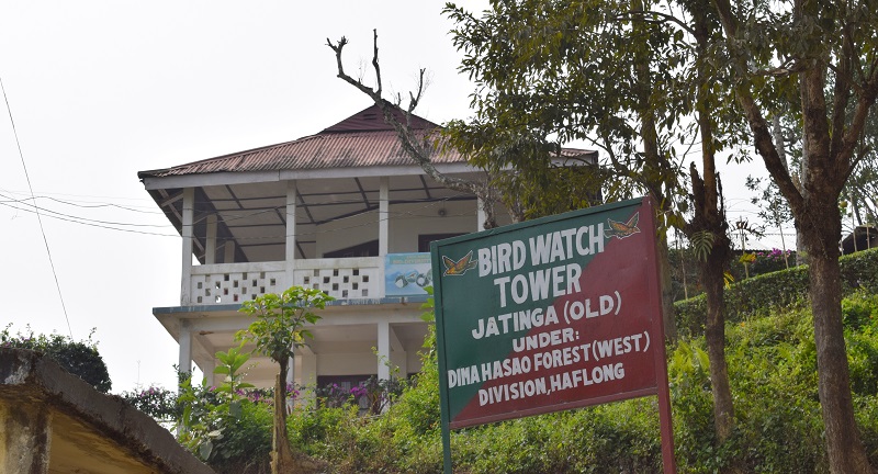 Jatinga Bird Watch Tower In Haflong. 