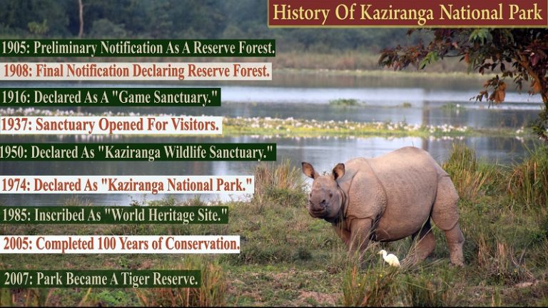 Kaziranga National Park Nearest Airport knowledgeofindia.com