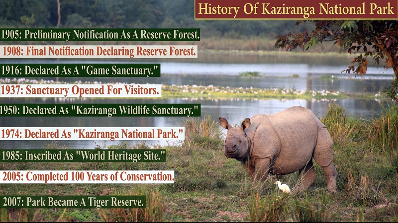 How To Explore Kaziranga National Park: A Detailed Travel Giude
