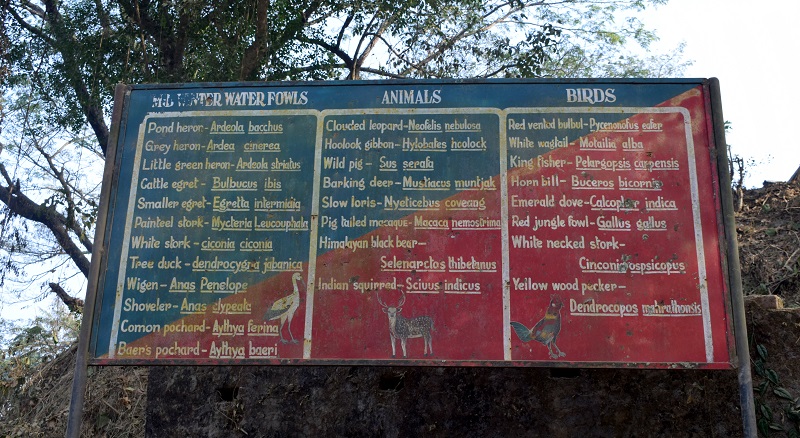 List of Animal Species found Around Damboor Lake and Gomati Wild Life Sanctuary